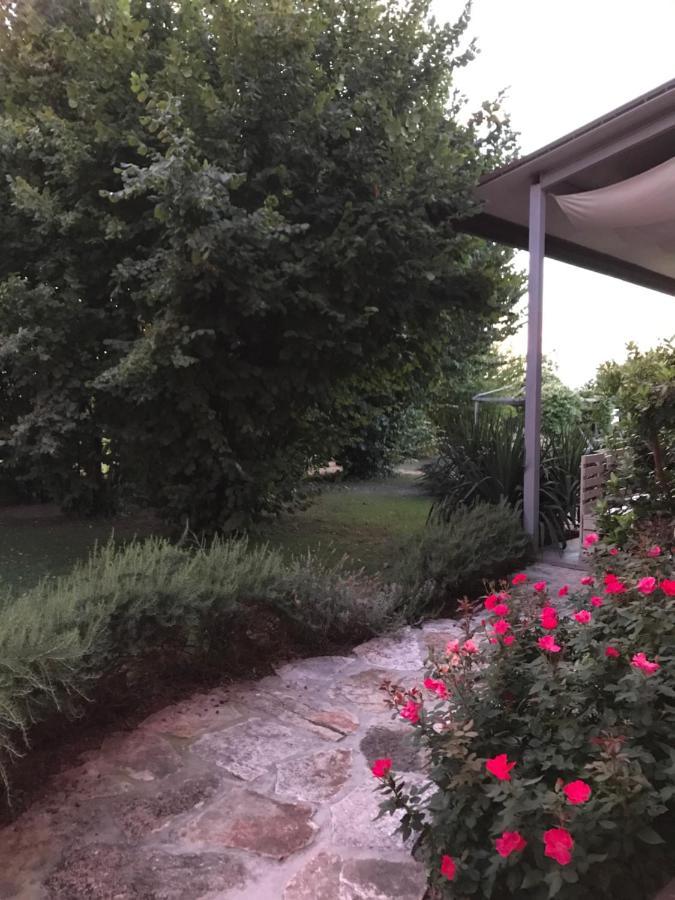Ca' Borgo Delle Rane Hotel Pernumia Exterior foto